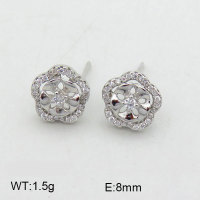 925 Silver Earrings  JE0000509ajia-L20