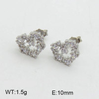 925 Silver Earrings  JE0000519vhnv-L20