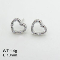 925 Silver Earrings  JE0000558bihl-L20