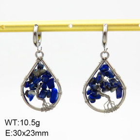 Natural Lazurite SS Earrings  3E4003411bhia-908