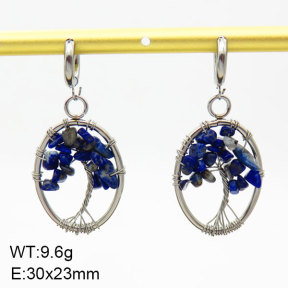 Natural Lazurite SS Earrings  3E4003419bhia-908