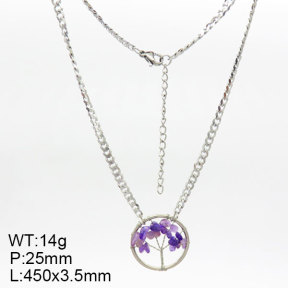 Natural Amethyst SS Necklace  3N4002311bvpl-908
