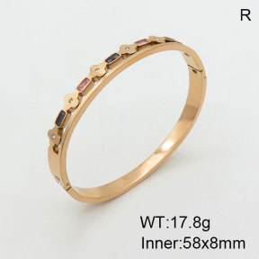 SS Bangle  3BA401469ahlv-434