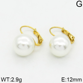 SS Earrings  2E3000009vaia-420