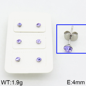 SS Earrings  2E4000076avja-420