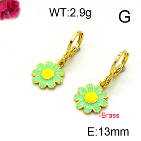 Fashion Brass Earrings  F6E301208baka-L002