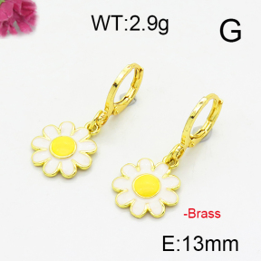 Fashion Brass Earrings  F6E301210baka-L002