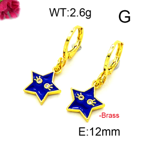 Fashion Brass Earrings  F6E301228baka-L002