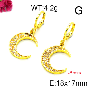 Fashion Brass Earrings  F6E403160vbmb-L002