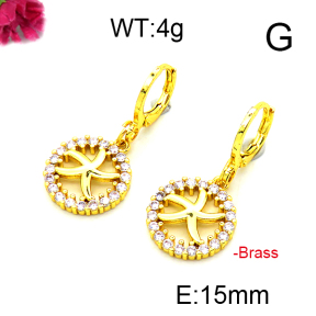 Fashion Brass Earrings  F6E403164ablb-L002
