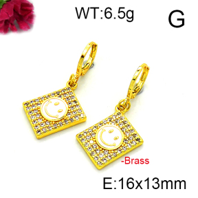 Fashion Brass Earrings  F6E403190vbnb-L002