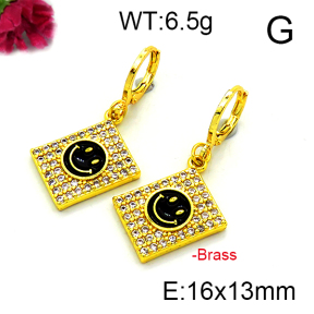 Fashion Brass Earrings  F6E403194vbnb-L002