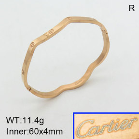 Cartier  Bangles  PZ0137047bhva-434