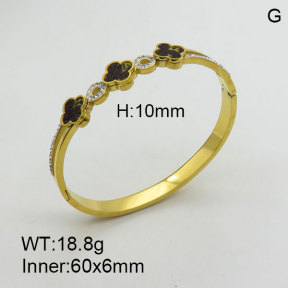 SS Bangles  TZ3001354vhov-613