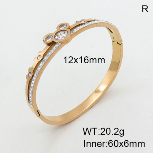 SS Bangles  TZ3001362vhml-434