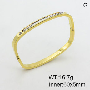 SS Bangles  TZ3001367ahjb-434