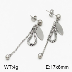 SS Earrings  5E2000290vbnb-350