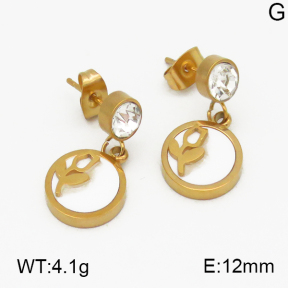 SS Earrings  5E4000329vbnb-635
