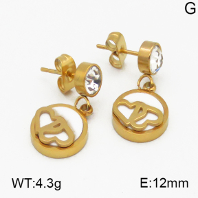 SS Earrings  5E4000332vbnb-635