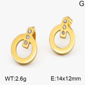 SS Earrings  5E4000335vbmb-635