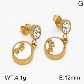 SS Earrings  5E4000336vbnb-635