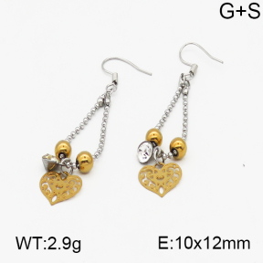 SS Earrings  5E4000338bhva-635