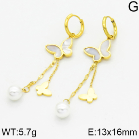 SS Earrings  2E3000105bhbl-669