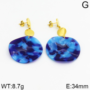 SS Earrings  2E3000120vhha-628