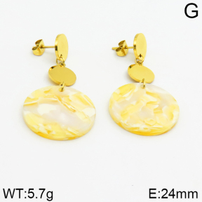 SS Earrings  2E3000125vhha-628