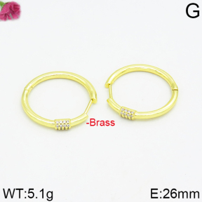 Fashion Brass Earrings  F2E400013ahjb-J40