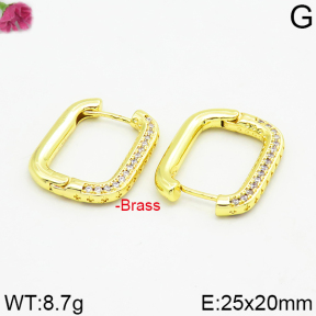 Fashion Brass Earrings  F2E400015ahjb-J40