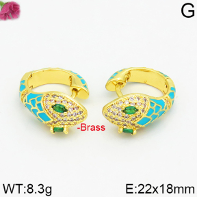 Fashion Brass Earrings  F2E400019vhmv-J40
