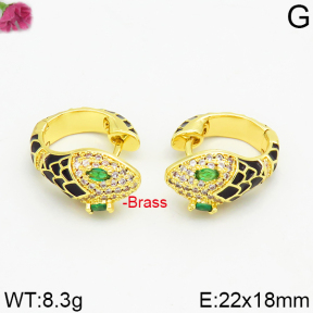 Fashion Brass Earrings  F2E400020vhmv-J40