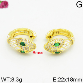 Fashion Brass Earrings  F2E400021vhmv-J40