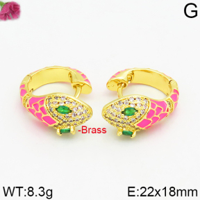 Fashion Brass Earrings  F2E400022vhmv-J40