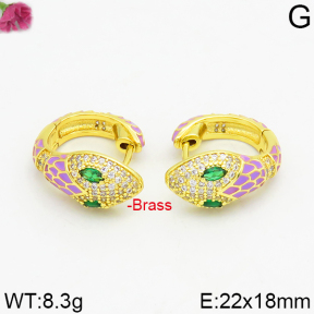 Fashion Brass Earrings  F2E400023vhmv-J40