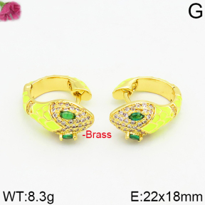 Fashion Brass Earrings  F2E400024vhmv-J40