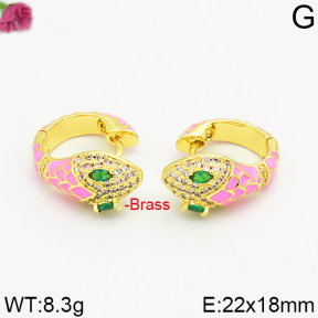 Fashion Brass Earrings  F2E400025vhmv-J40