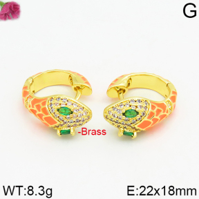 Fashion Brass Earrings  F2E400026vhmv-J40