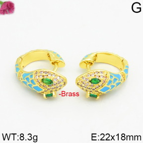 Fashion Brass Earrings  F2E400027vhmv-J40