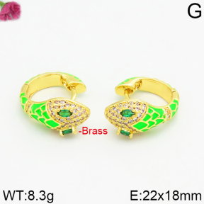 Fashion Brass Earrings  F2E400028vhmv-J40