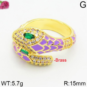 Fashion Brass Ring  F2R400023ahjb-J40
