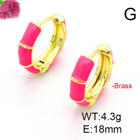 Fashion Copper Earrings  F6E301255ablb-L017