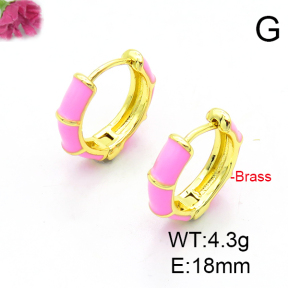 Fashion Copper Earrings  F6E301256ablb-L017
