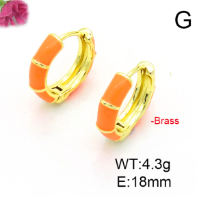Fashion Copper Earrings  F6E301262ablb-L017
