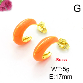Fashion Copper Earrings  F6E301264vbmb-L017