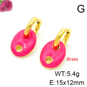 Fashion Copper Earrings  F6E301304ablb-L017