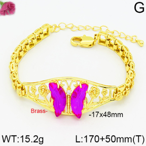 Fashion Copper Bracelet  F2B400037ahjb-J66