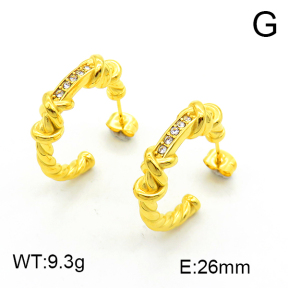 SS Earrings  6E4003336bhia-066