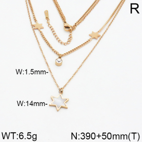 SS Necklace  2N4000104ahlv-662